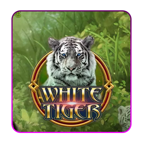 Legend of White Tiger